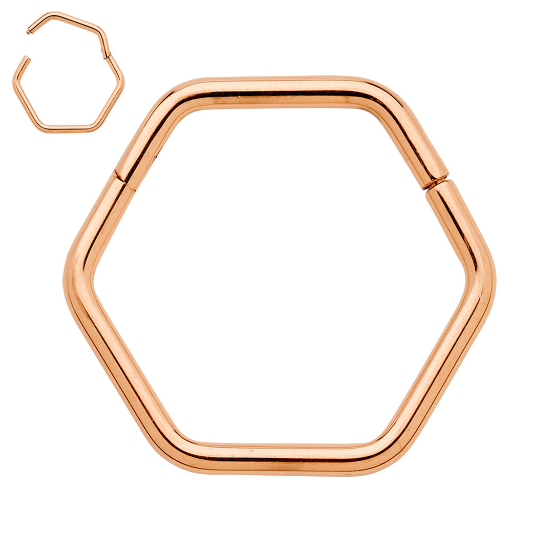 1 Pair Titanium 16G Hexagonal Hinged Hoop Sleeper Earrings