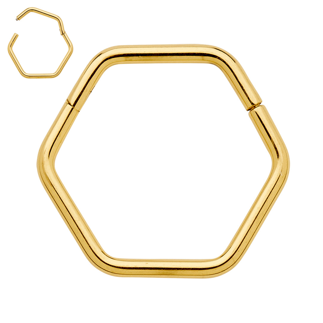 1 Pair Titanium 16G Hexagonal Hinged Hoop Sleeper Earrings