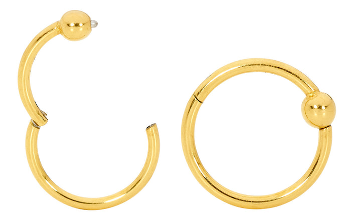 1 Pair 20G - 14G Titanium Hinged BCR Ball Closure Segment Ring Earrings 6mm - 12mm