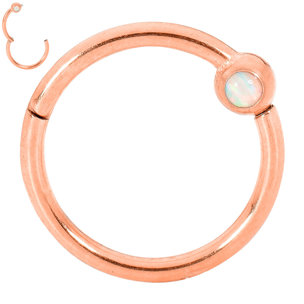 1 Pair Surgical Steel 16G Opal Hinged Hoop Sleeper Earrings
