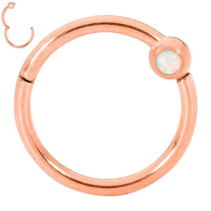 1 Pair Surgical Steel 16G Opal Hinged Hoop Sleeper Earrings