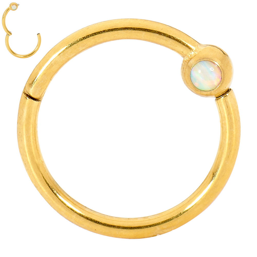 1 Pair Surgical Steel 16G Opal Hinged Hoop Sleeper Earrings