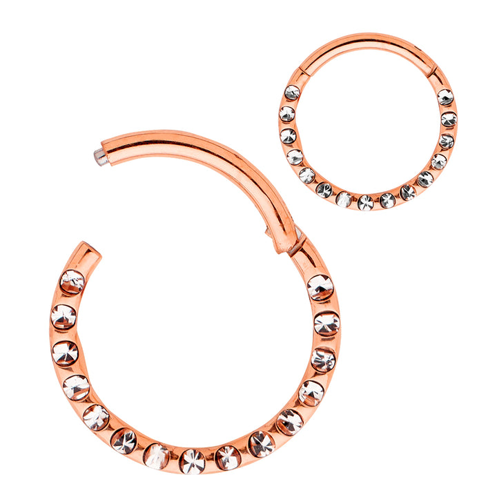 1 Piece 16G Titanium Gem Hinged Hoop Segment Ring Earring 6mm - 10mm