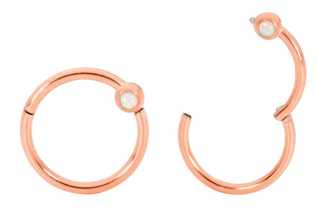 1 Pair 16G Stainless Steel Opal Hinged Hoop Sleeper Earrings 8mm 10mm