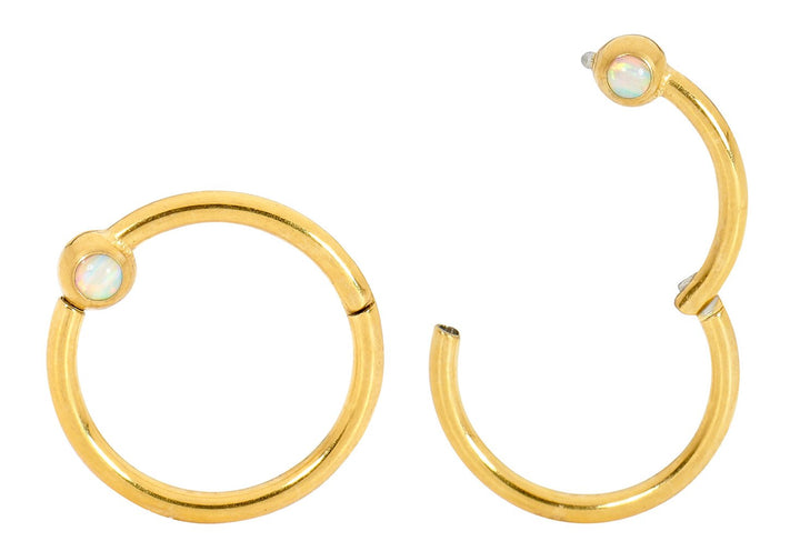 1 Pair 16G Stainless Steel Opal Hinged Hoop Sleeper Earrings 8mm 10mm