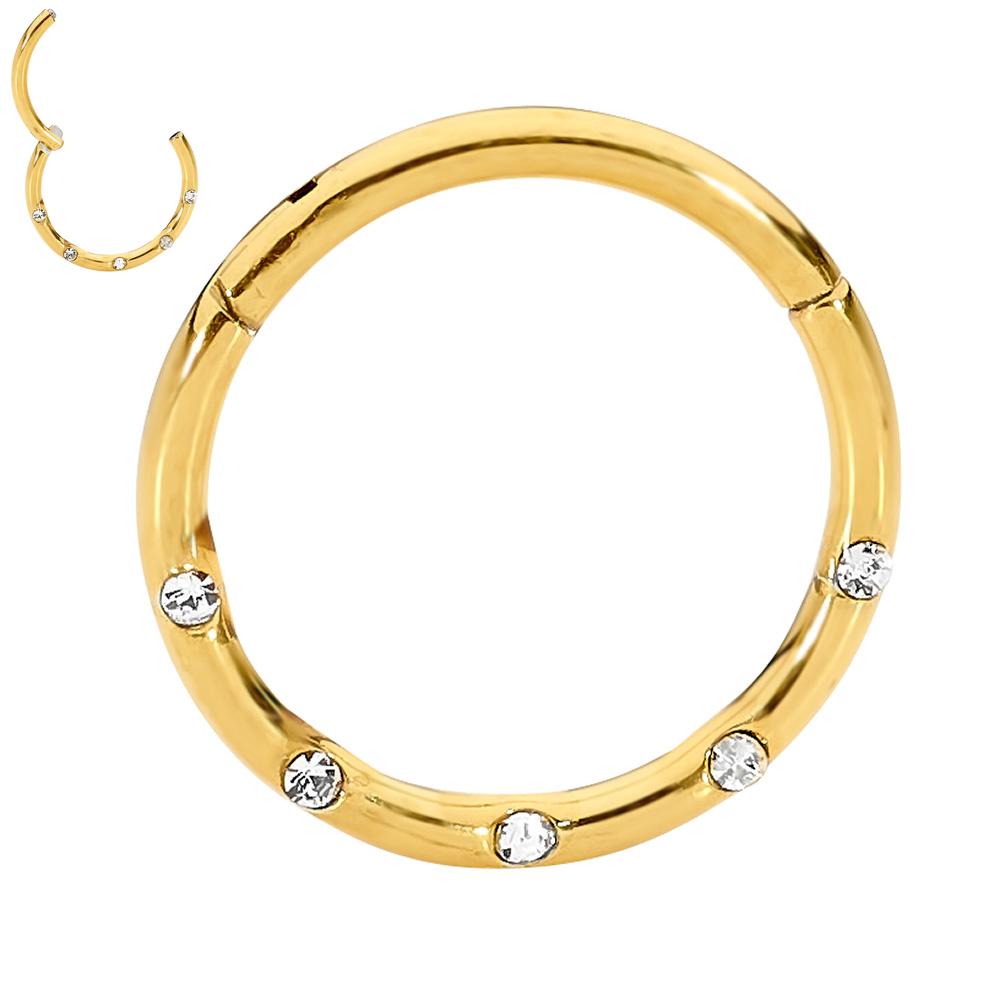 1 Piece 16G Stainless Steel Punch Set Gem Hinged Hoop Segment Ring Earring 8mm 10mm