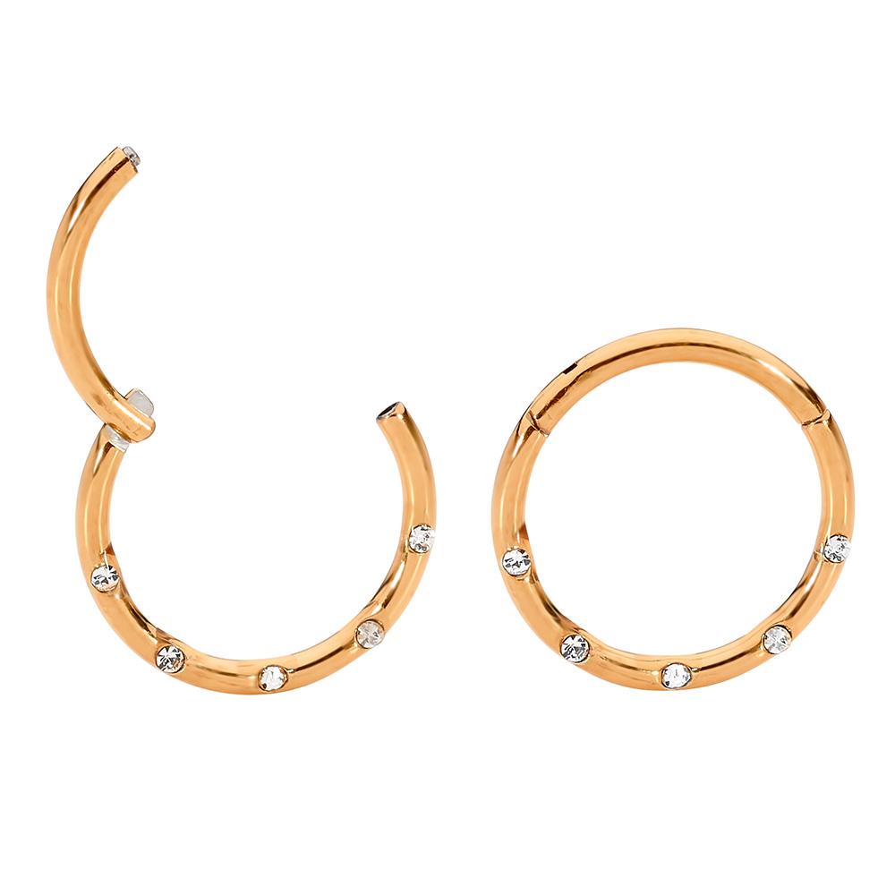 1 Pair 16G Titanium Gem Punch Set Hinged Hoop Sleeper Earrings 8mm 10mm