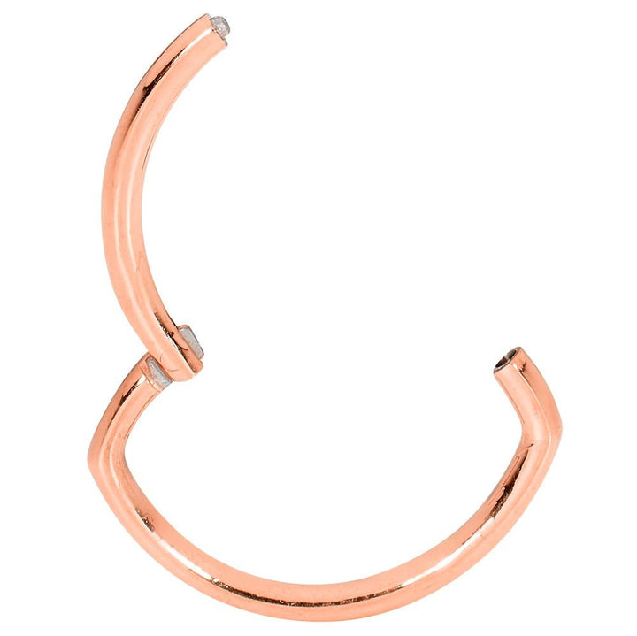 1 Piece 16G Stainless Steel Oval Hinged Hoop Segment Ring Earring 6mm 8mm