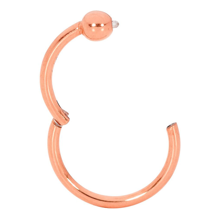1 Piece 20G - 14G Stainless Steel Hinged BCR Ball Closure Segment Ring Earring 6mm - 12mm
